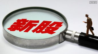 7只新股今日聯(lián)袂上市，盛天網(wǎng)絡(luò)領(lǐng)銜互聯(lián)網(wǎng)游戲服務(wù)板塊大漲44%遭臨停